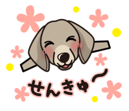 iinu - Weimaraner sticker #9460930