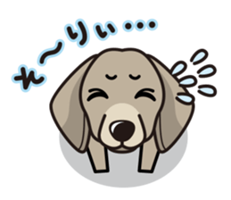iinu - Weimaraner sticker #9460931