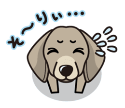 iinu - Weimaraner sticker #9460931