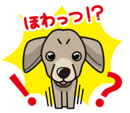 iinu - Weimaraner sticker #9460938