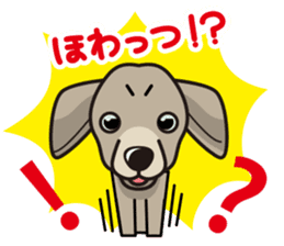 iinu - Weimaraner sticker #9460938