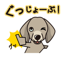 iinu - Weimaraner sticker #9460939