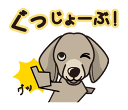iinu - Weimaraner sticker #9460939