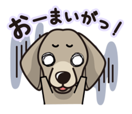 iinu - Weimaraner sticker #9460940