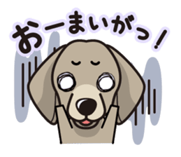 iinu - Weimaraner sticker #9460940