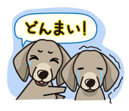 iinu - Weimaraner sticker #9460941