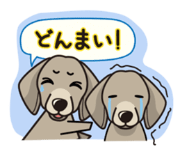 iinu - Weimaraner sticker #9460941