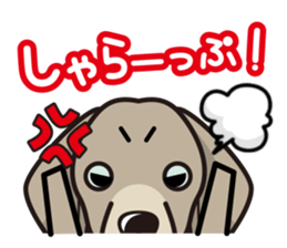 iinu - Weimaraner sticker #9460942