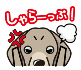 iinu - Weimaraner sticker #9460942