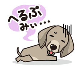 iinu - Weimaraner sticker #9460943