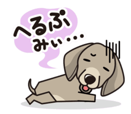 iinu - Weimaraner sticker #9460943