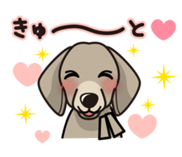 iinu - Weimaraner sticker #9460947