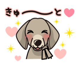 iinu - Weimaraner sticker #9460947