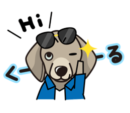 iinu - Weimaraner sticker #9460948