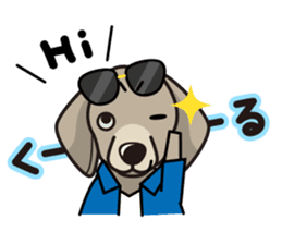 iinu - Weimaraner sticker #9460948
