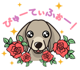 iinu - Weimaraner sticker #9460952