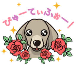 iinu - Weimaraner sticker #9460952