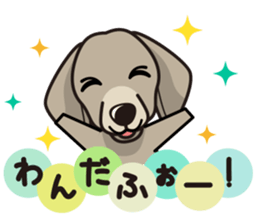 iinu - Weimaraner sticker #9460953