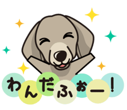 iinu - Weimaraner sticker #9460953