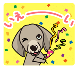 iinu - Weimaraner sticker #9460956