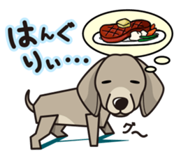 iinu - Weimaraner sticker #9460957