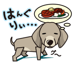 iinu - Weimaraner sticker #9460957