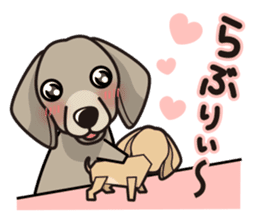 iinu - Weimaraner sticker #9460958