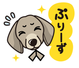 iinu - Weimaraner sticker #9460960