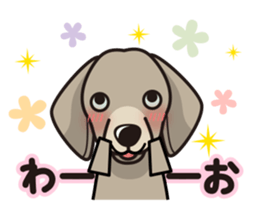 iinu - Weimaraner sticker #9460961