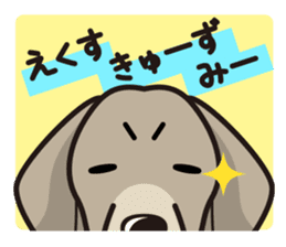 iinu - Weimaraner sticker #9460964