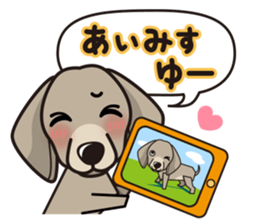 iinu - Weimaraner sticker #9460965