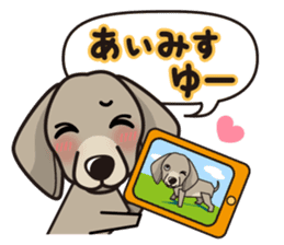 iinu - Weimaraner sticker #9460965