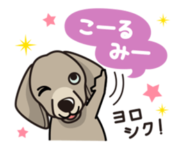 iinu - Weimaraner sticker #9460967