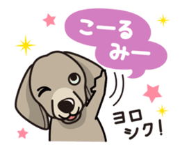 iinu - Weimaraner sticker #9460967