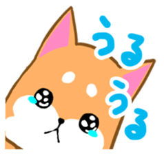 Sticker of Shiba inu sticker #9464419