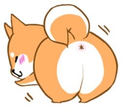 Sticker of Shiba inu sticker #9464424
