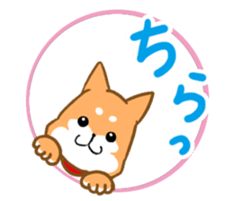 Sticker of Shiba inu sticker #9464446