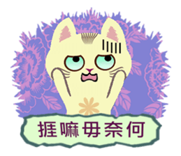 Cat Misee 2 (Hakka Ver.) sticker #9465684