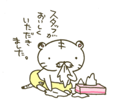 Baby white tiger's life ,a lion at home. sticker #9467001