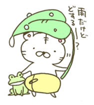 Baby white tiger's life ,a lion at home. sticker #9467006