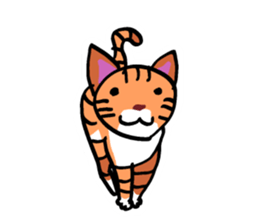 Clutter of cats sticker #9471151