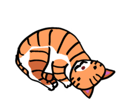 Clutter of cats sticker #9471152