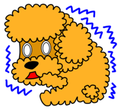 JIN-JIN Poodle Life (3rd) sticker #9471569