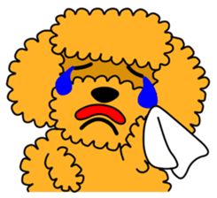 JIN-JIN Poodle Life (3rd) sticker #9471571