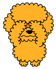 JIN-JIN Poodle Life (3rd) sticker #9471572