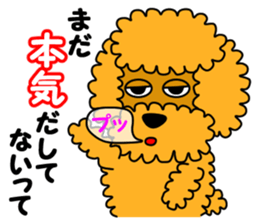 JIN-JIN Poodle Life (3rd) sticker #9471576