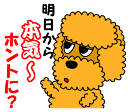 JIN-JIN Poodle Life (3rd) sticker #9471577