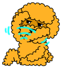 JIN-JIN Poodle Life (3rd) sticker #9471581