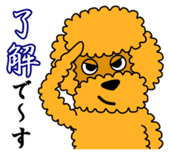 JIN-JIN Poodle Life (3rd) sticker #9471582