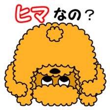 JIN-JIN Poodle Life (3rd) sticker #9471584
